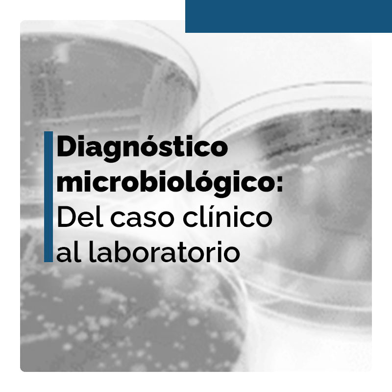 Course Image DIAGNÓSTICO MICROBIOLÓGICO: DEL CASO CLÍNICO AL LABORATORIO. Edición 2022