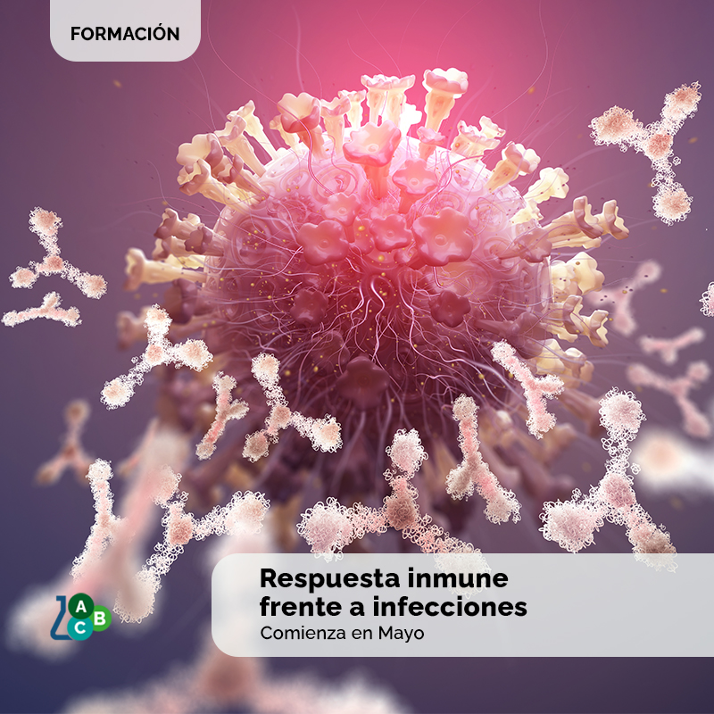 Course Image RESPUESTA INMUNE FRENTE A LAS INFECCIONES